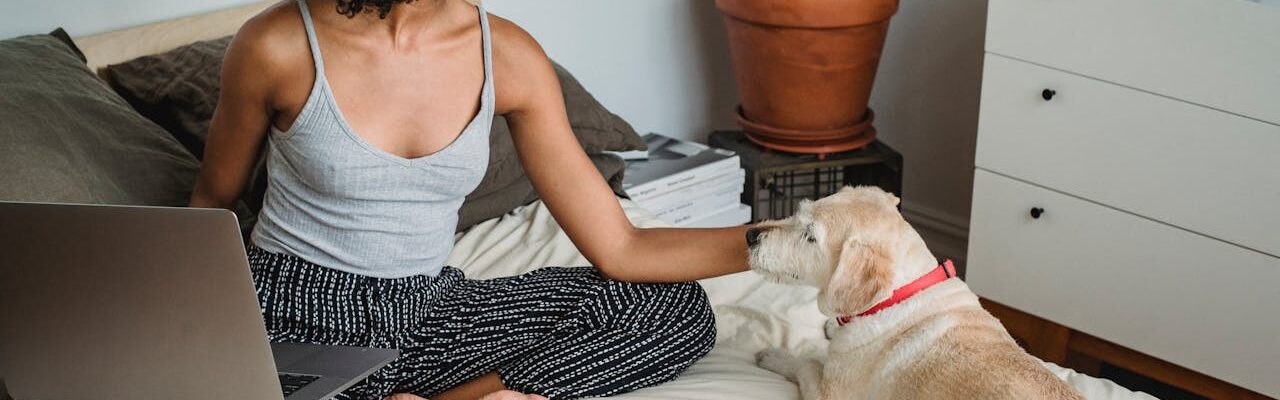 Image de Smail : Tchat gratuit ou site de rencontre ? Spoiler&#8230; c’est les deux. Et bien plus encore.