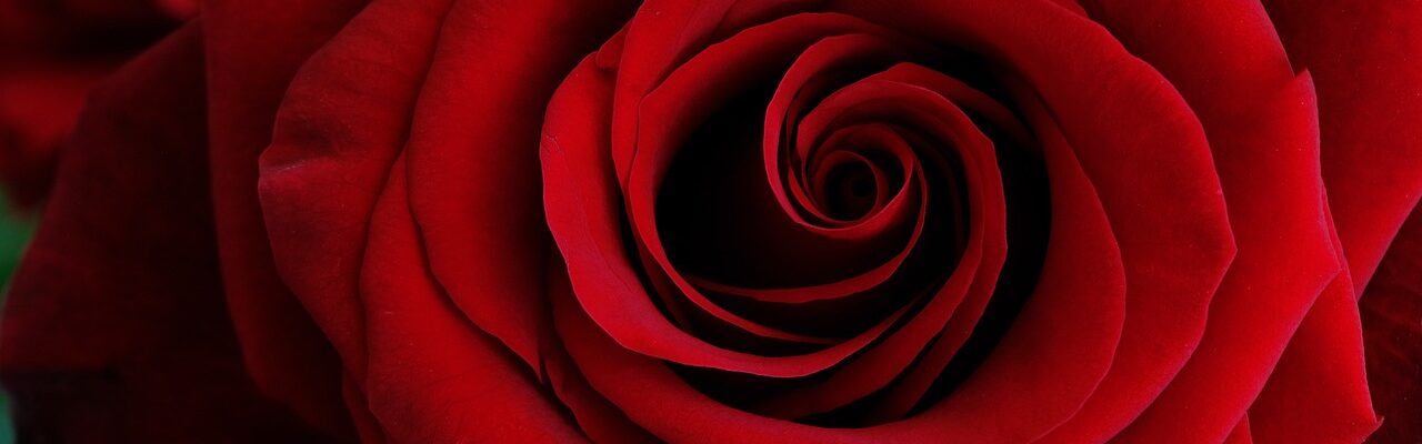 Image de Saint-Valentin : Il se trompe de conversation et envoie « je t’aime » à sa femme